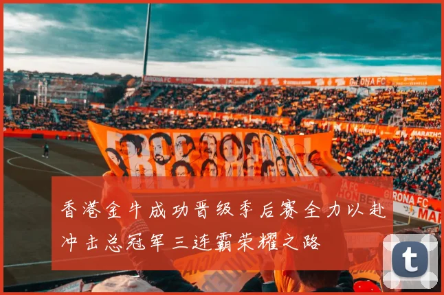 香港金牛成功晋级季后赛全力以赴冲击总冠军三连霸荣耀之路