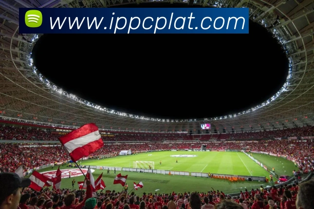 App Interface Preview