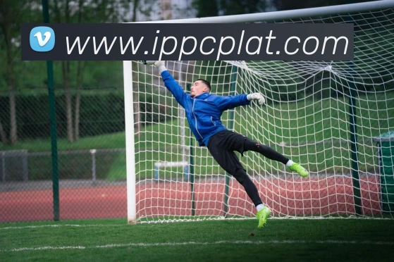 米兰官方网站入口APP 封面图